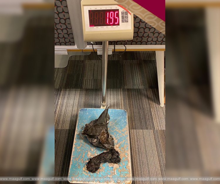 హమద్ అంతర్జాతీయ విమానాశ్రయంలో భారీగా హషీష్‌ స్వాధీనం